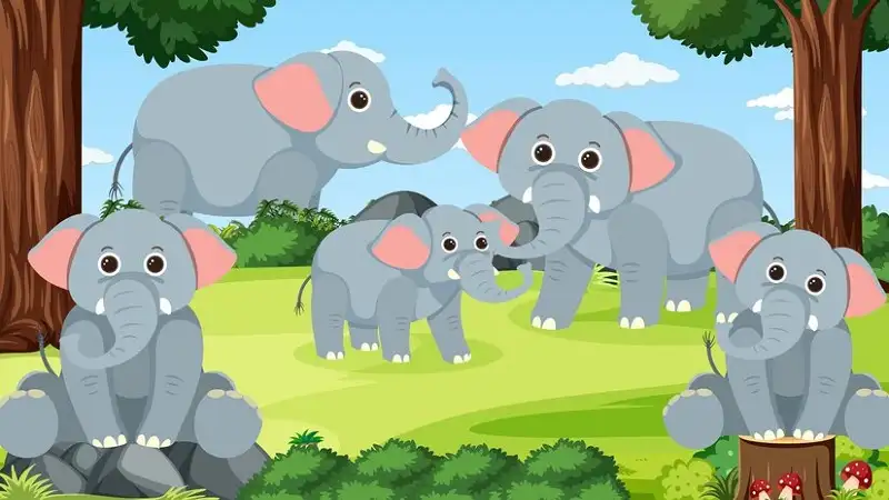 Clipart:bcixr5sktfi= Elephant