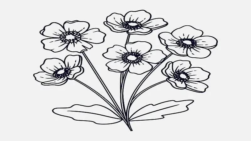 Flower:sl66uib5x0i= Coloring Pages